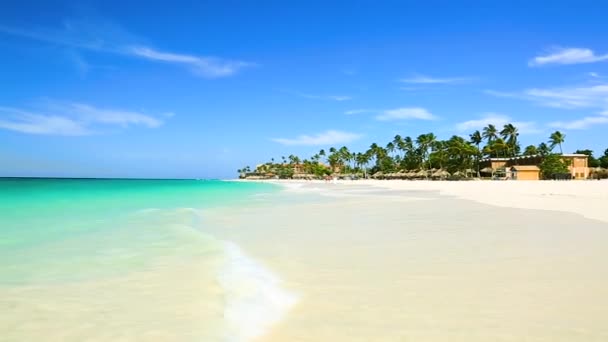 Εκπληκτική Ομορφιά Παραλία Λευκή Αμμουδιά Της Αρούμπα Νησί Τυρκουάζ Θάλασσα — Αρχείο Βίντεο