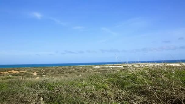 Naturlig Skönhet Aruba Nordkusten Terränggående Aruba Fantastiskt Stenökenlandskap Blått Hav — Stockvideo