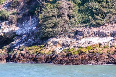 Ünlü Alcatraz adasının kayalık sahil şeridi görünümü. Güzel tarihi arka planlar. San Francisco'da. Abd.