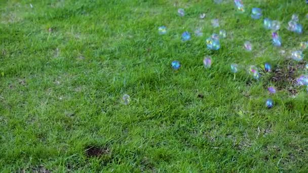 緑の芝生にカラフルな泡でプライリング子供の姿のかわいいビュー 美しい背景 — ストック動画