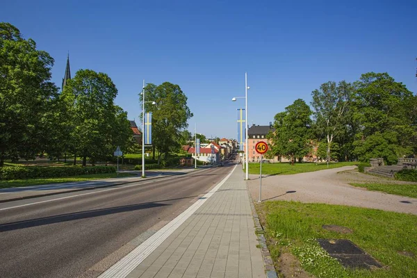 Вид Городскую Дорогу Шведскими Флагами Время Шведского Национального Дня Зеленые — стоковое фото