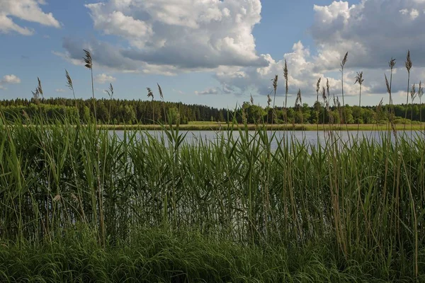 Vue Imprenable Sur Paysage Naturel Surface Eau Lac Travers Les — Photo