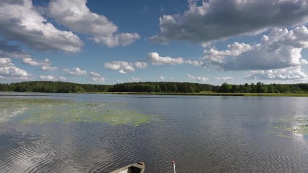 Nádherná Příroda Letním Dnu Zelené Rostliny Zrcadlový Povrch Vody Modrá — Stock video