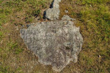 Yeşil yosun ile büyümüş gri taş parçası güzel yakın görünümü. Güzel doğa arka planlar.