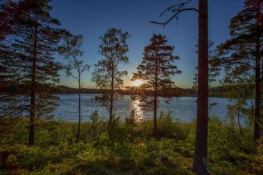Orman gölü görünümünde muhteşem gün batımı. Güzel yaz geçmişleri. Avrupa. İsveç.