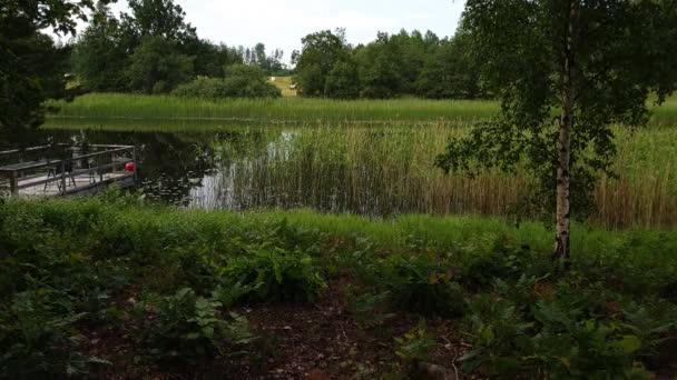 Wunderschöne Naturlandschaft Blick Auf Sonnigen Sommertag Grüne Bäume Und Pflanzen — Stockvideo