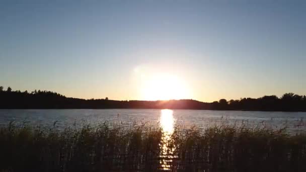 Čas Propadá Nádherný Západ Slunce Pohled Lesní Jezero Krásné Letní — Stock video