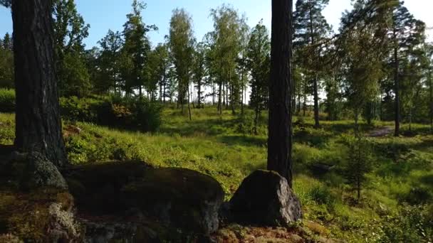 夏の日に自然の風景の豪華な景色を示す時間の経過 緑の木 植物や湖と森林の風景 スウェーデン ヨーロッパ — ストック動画