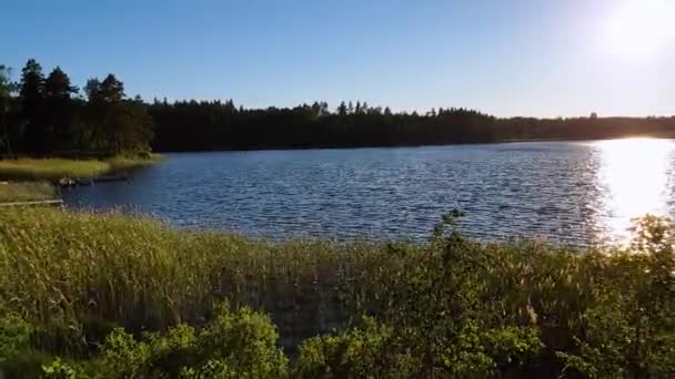 森の湖の眺めの豪華な夕日 美しい夏の背景 ヨーロッパ スウェーデン — ストック動画