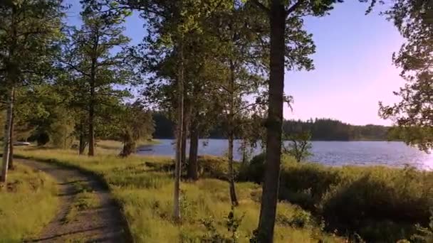 Pôr Sol Lindo Vista Lago Floresta Árvores Verdes Plantas Torno — Vídeo de Stock