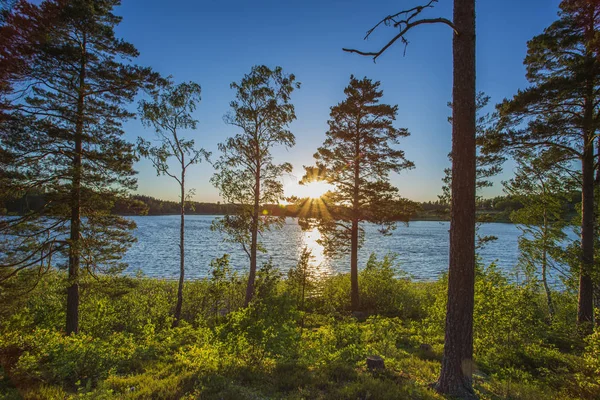 Gün batımında doğanın muhteşem manzarası. Mavi gökyüzü ve beyaz bulutlar. Küçük su dalgalanmaları ile ayna yüzeyi. Güzel arka planlar.