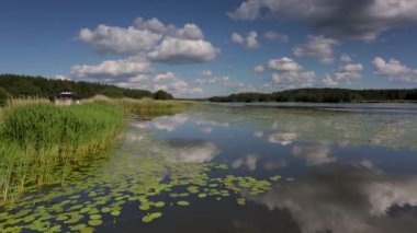 Bir yaz gününde muhteşem doğa manzara. Güzel ayna su yüzey görünümü nilüferler, yeşil saz ve kar beyaz bulutlar ile mavi gökyüzü. İnanılmaz doğa manzara arka plan.