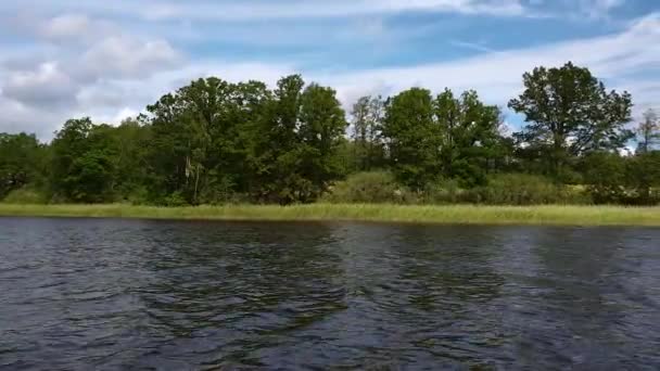 Gyönyörű Hang Zöld Fák Partján Sötét Víz Sutface Zöld Fák — Stock videók