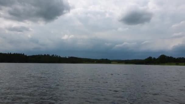 Traumhafter Sonnenuntergang Waldsee Seeufer Mit Grünen Bäumen Und Pflanzen Himmel — Stockvideo