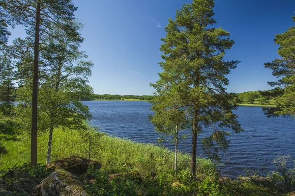 高い木々を通る湖のゴージャスな眺め ゴージャスな自然の風景の背景 スウェーデン ヨーロッパ — ストック写真