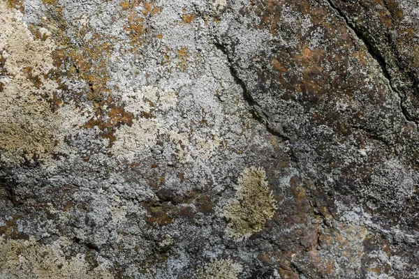 Bela Vista Perto Parte Pedra Cinzenta Coberta Musgo Verde Bela — Fotografia de Stock