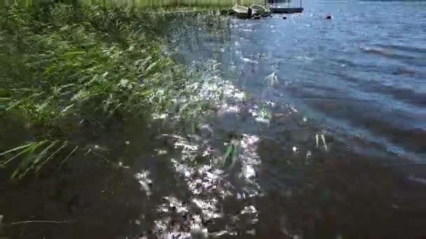 Prachtig Uitzicht Zonnestralen Reflectie Het Water Van Het Meer Zonnige — Stockvideo