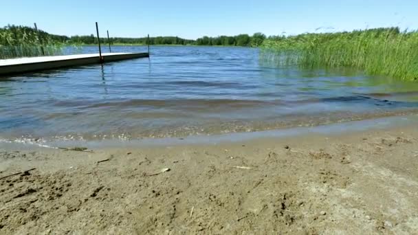 美丽的当地游泳景色在湖面上播放 美丽的自然景观 — 图库视频影像