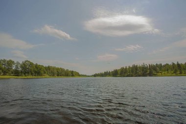 Yaz gününde göl de güzel bir manzara. Koyu göl su yüzeyi, yeşil uzun ağaçlar ve beyaz bulutlar ile mavi gökyüzü. Güzel doğa manzaraları. İsveç, Avrupa.