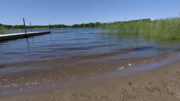 美丽的当地游泳景色在湖面上播放 美丽的自然景观 — 图库视频影像
