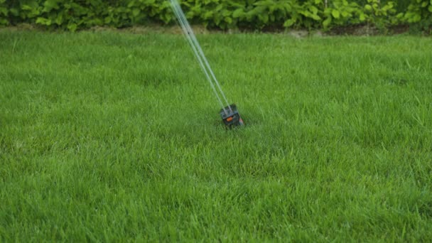 Schöne Ansicht Des Prozesses Der Automatischen Rasenbewässerung Sommertagen Gartenkonzept — Stockvideo