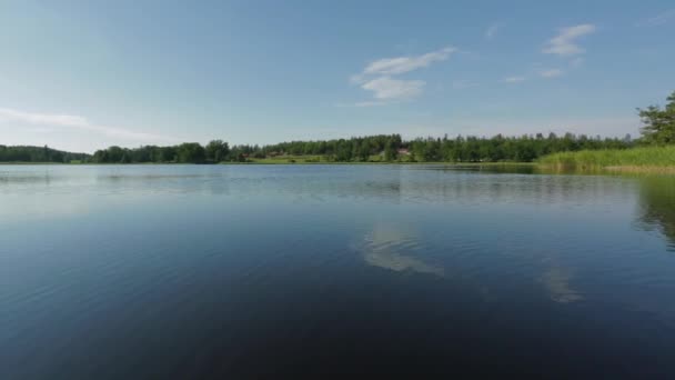 夏の日に湖の美しい景色 暗い青湖水面 背の高い木々 白い雲と青い空 スウェーデン ヨーロッパ — ストック動画