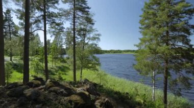 Uzun ağaçlar ile göl muhteşem görünümü. Muhteşem doğa manzara arka plan. İsveç, Avrupa.