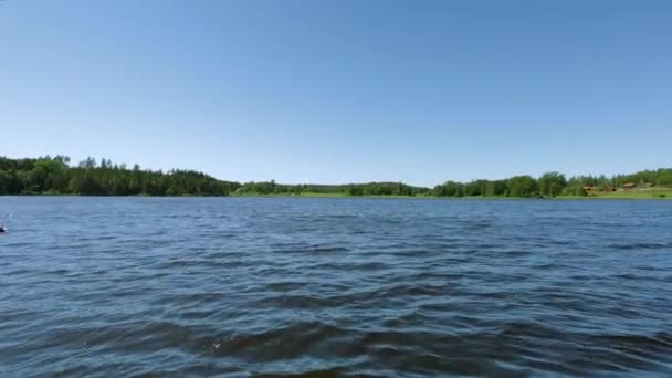 Beautiful View Lake Summer Day Dark Lake Water Surface Green — Stock Video