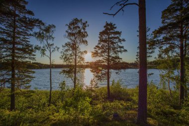Orman gölü görünümünde muhteşem gün batımı. Güzel yaz geçmişleri. Avrupa. İsveç.