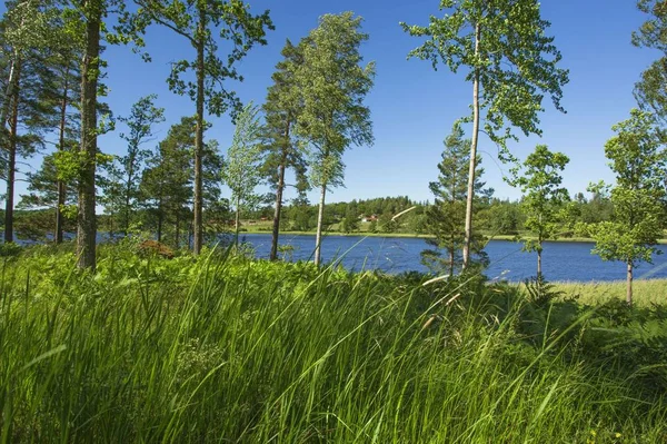 Superbe Vue Sur Paysage Naturel Par Une Journée Été Ensoleillée — Photo