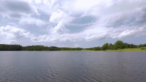 Wunderschöne Naturlandschaft Einem Sommertag Grüne Pflanzen Wasseroberfläche Und Blauer Himmel — Stockvideo