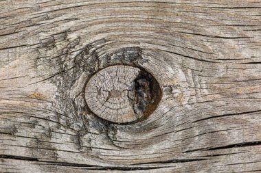 Eski ağaç kesme yüzeyinin yakın görünümü. Gri ahşap doku arka planlar.