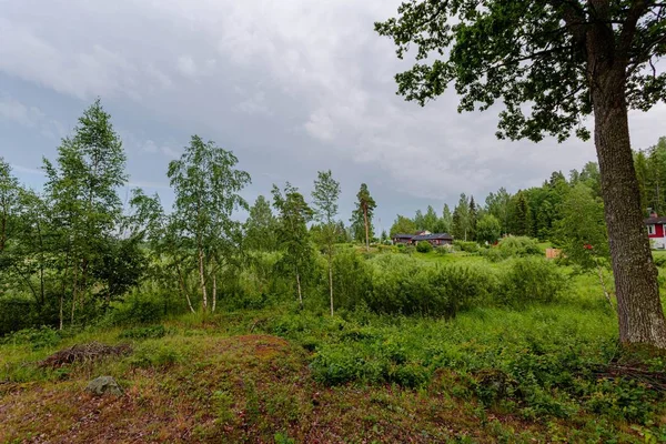 Piękny Widok Zielony Las Naturalny Krajobraz Letni Dzień Skandynawii Szwecja — Zdjęcie stockowe