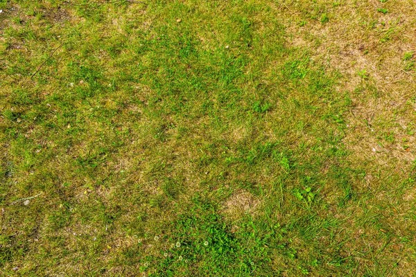 Blick Auf Raue Natürliche Böden Gelber Sand Und Grünes Gras — Stockfoto