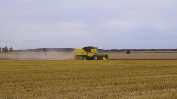 기계에 호밀을 수확하는 과정을 보여주는 웁살라 스웨덴 2019 — 비디오