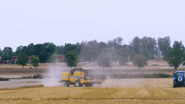 Filme Curto Mostrando Processo Colheita Centeio Por Máquinas Agrícolas Antecedentes — Vídeo de Stock