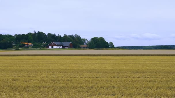 Pohled Krásnou Přírodu Požisem Pozadí Modrém Nebi Bílých Mračnech Švédsko — Stock video
