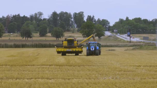 기계에 호밀을 수확하는 과정을 보여주는 배경입니다 스웨덴 — 비디오