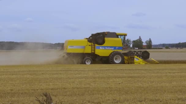 Filme Curto Mostrando Processo Colheita Centeio Por Máquinas Agrícolas Antecedentes — Vídeo de Stock