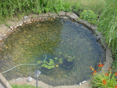 Özel bir bahçenin dış muhteşem görünümü. Peyzaj tasarımı. Gölet. Kayalar ve yeşil bitkiler ile dekoratif havuz. 