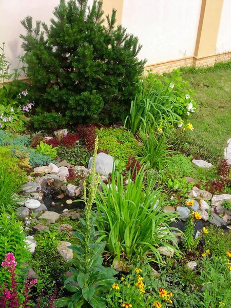 Herrlicher Blick Von Außen Auf Einen Privaten Garten Landschaftsplanung Mit — Stockfoto