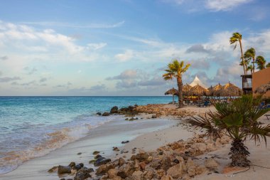 Aruba sahil şeridi manzara muhteşem görünümü. Atlantik okyanusunun turkuaz suyu, palmiye ağaçları ve beyaz bulutlar arka plan ile mavi gökyüzünde güneş şemsiyeleri ile beyaz kum plaj.