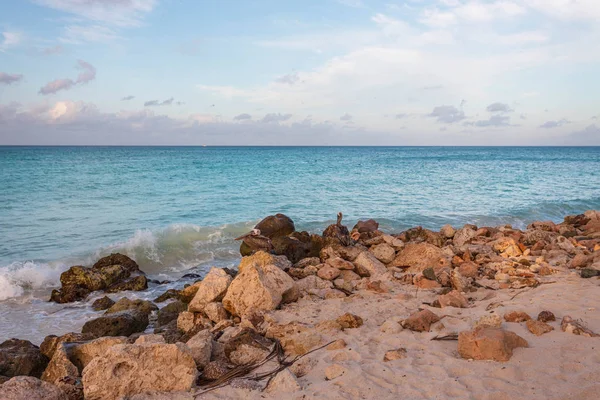 Piękny Widok Linię Brzegowa Oceanu Atlantyckiego Wyspie Aruba Wspaniała Natura — Zdjęcie stockowe