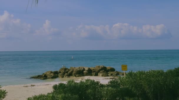 Gorgeous View Boundless Atlantic Ocean Cute Seagulls Standing Rocks Surrounded — Stock Video