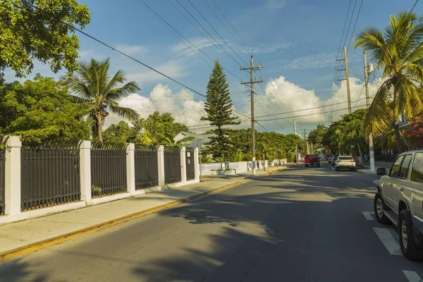 Key West caddelerinden birinin manzarası. Mavi arka planda eski evler ve büyük yeşil ağaçlar. Key West. Florida mı? Usa. 