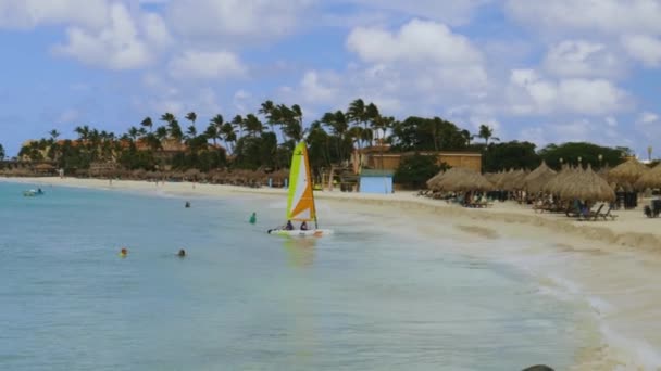 Vista Deslumbrante Areia Branca Eagle Beach Turistas Nadando Oceano Palmeiras — Vídeo de Stock