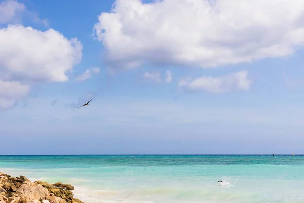 Hermosa Vista Línea Costera Del Océano Atlántico Isla Aruba Magníficos —  Fotos de Stock