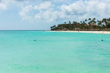 Beyaz kumlu sahil şeridinin güzel manzarası. Atlantik Okyanusu 'nun turkuaz suyu, güneş şemsiyeli beyaz kum plajı ve mavi gökyüzünde beyaz bulutlu yeşil palmiye ağaçları..
