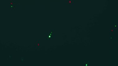 Güzel renkli bir arka plan, doku. Yanıp sönen yeşil ve kırmızı ışıklar. Parti, tatil geçmişi.