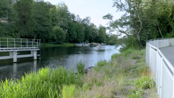 Motorboot Schöne Aussicht Auf Die Natur Motorboot Auf Dem Fluss — Stockvideo